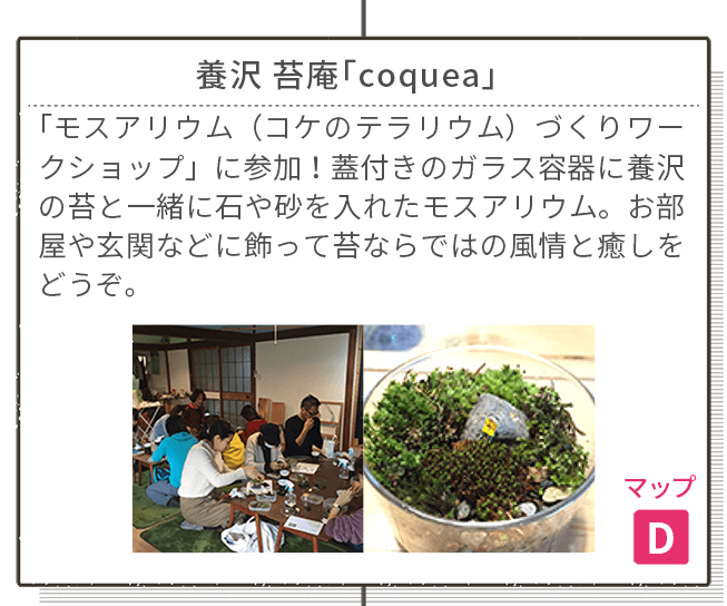 養沢 苔庵「Copuea」 マップD 「モスアリウム(コケのテラリウム)づくりワークショップ」に参加!蓋付きのガラス容器に養沢の苔と一緒に石や砂を入れたモスアリウム。お部屋や玄関などに飾って苔ならではの風情と癒しをどうぞ。