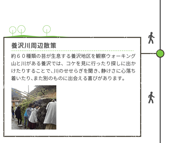 <徒歩>養沢川周辺散策 約60種類の苔が生息する養沢地区を観察ウォーキング 山と川がある養沢では、コケを見に行ったり探しに出かけたりすることで、川のせせらぎを聞き、静けさい心落ち着いたり、また別のものに出会える喜びがあります。
