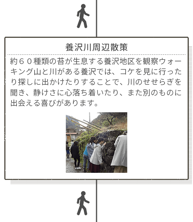 <徒歩>養沢川周辺散策 約60種類の苔が生息する養沢地区を観察ウォーキング 山と川がある養沢では、コケを見に行ったり探しに出かけたりすることで、川のせせらぎを聞き、静けさい心落ち着いたり、また別のものに出会える喜びがあります。<徒歩>