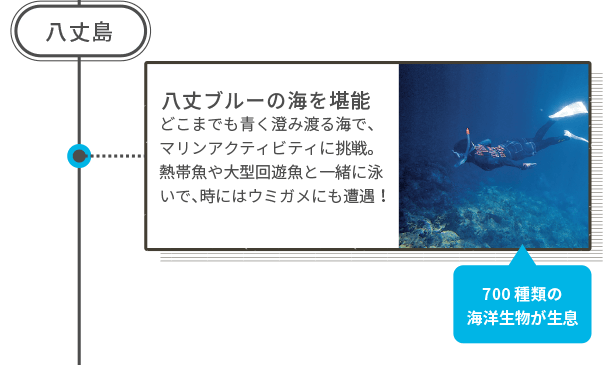 八丈島 八丈ブルーの海を堪能 どこまでも青く澄み渡る海で、マリンアクティビティに挑戦。熱帯魚や大型回遊魚と一緒に泳いで、時にはウミガメにも遭遇! 700種類の海洋生物が生息