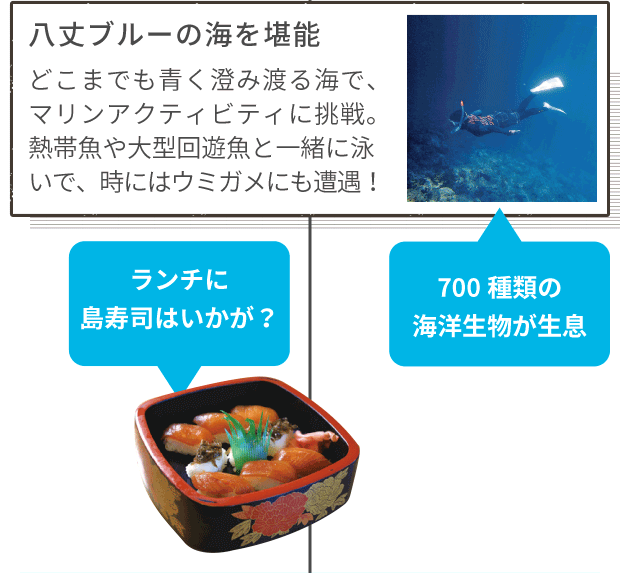 八丈ブルーの海を堪能 どこまでも青く澄み渡る海で、マリンアクティビティに挑戦。熱帯魚や大型回遊魚と一緒に泳いで、時にはウミガメにも遭遇! 700種類の海洋生物が生息 ランチに島寿司はいかが?
