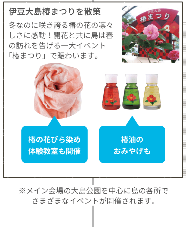 伊豆大島椿まつりを散策 冬なのに咲き誇る椿の花の凛々しさに感動! 開花と共に島は春の訪れを告げる一大イベント「椿まつり」で賑わいます。 椿の花びら染め体験教室も開催 椿油のおみやげも ※メイン会場の大島公園を中心に島の各所でさまざまなイベントが開催されます。