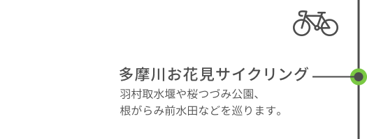 多摩川お花見サイクリング 羽村取水堰や桜つづみ公園、根がらみ前水田などを巡ります。