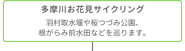 多摩川お花見サイクリング 羽村取水堰や桜つづみ公園、根がらみ前水田などを巡ります。
