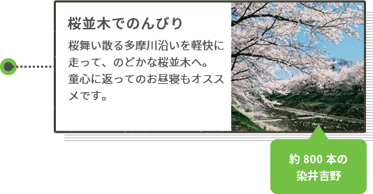 桜並木でのんびり 桜舞い散る多摩川沿いを軽快に走って、のどかな桜並木へ。童心に返ってのお昼寝もオススメです。