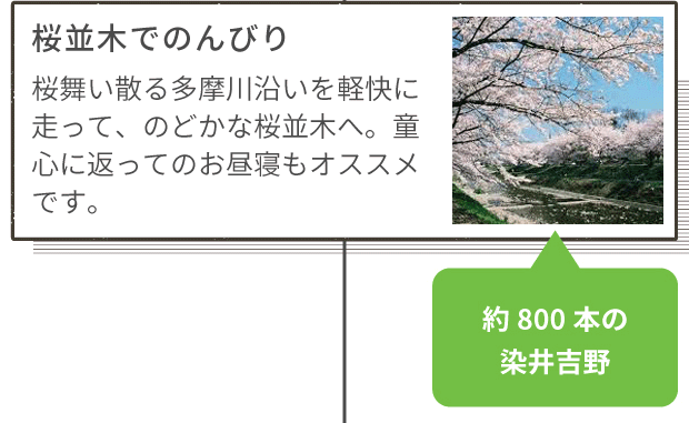 桜並木でのんびり 桜舞い散る多摩川沿いを軽快に走って、のどかな桜並木へ。童心に返ってのお昼寝もオススメです。