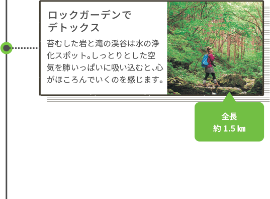 ロックガーデンでデトックス 苔むした岩と滝の渓谷は水の浄化スポット。しっとりとした空気を肺いっぱいに吸い込むと、心がほころんでいくのを感じます。