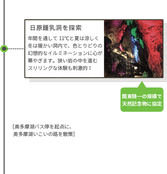 日原鍾乳洞を探索 年間を通して11℃と夏は涼しく冬は暖かい洞内で、色とりどりの幻想的なイルミネーションに心が華やぎます。狭い岩の中を進むスリリングな体験も刺激的!