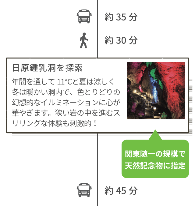 日原鍾乳洞を探索 年間を通して11℃と夏は涼しく冬は暖かい洞内で、色とりどりの幻想的なイルミネーションに心が華やぎます。狭い岩の中を進むスリリングな体験も刺激的!