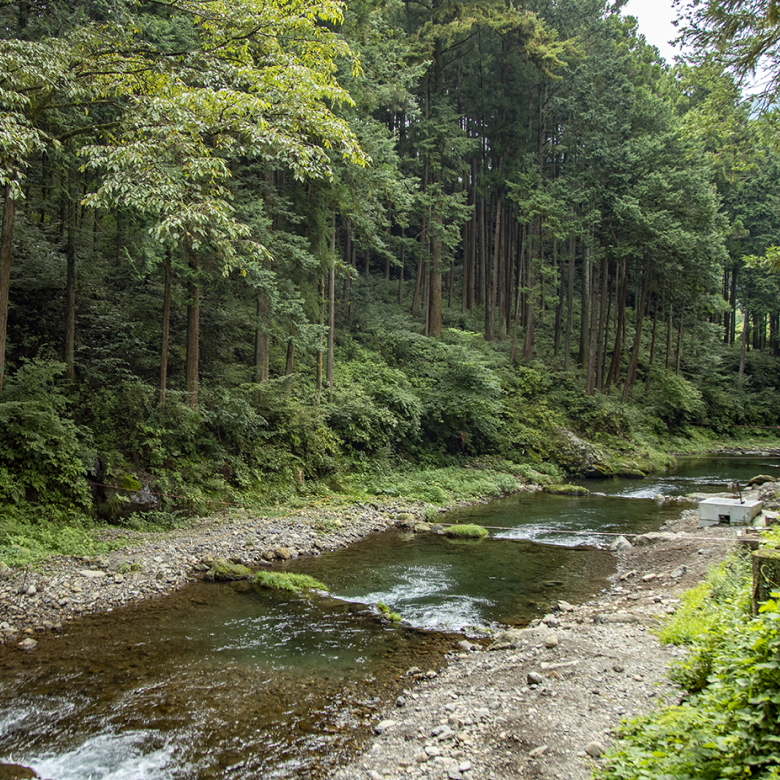 秋川国際マス釣場の川の写真