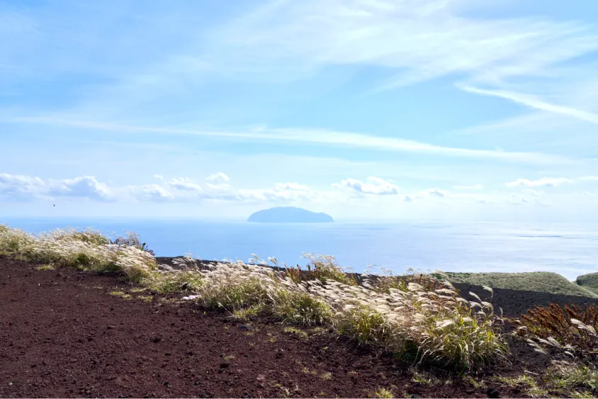 展望台から見える伊豆諸島の島々