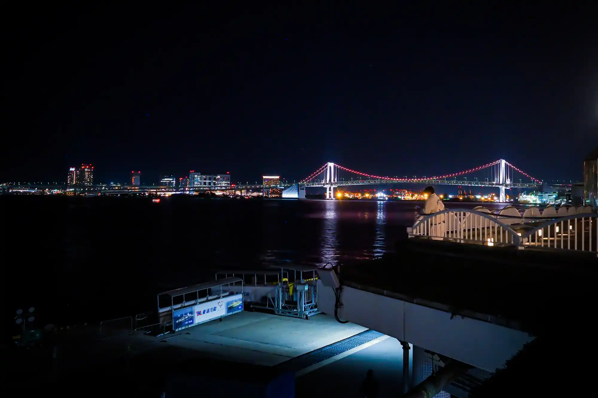 船から見えるライトアップされたレインボーブリッジと東京の夜景
