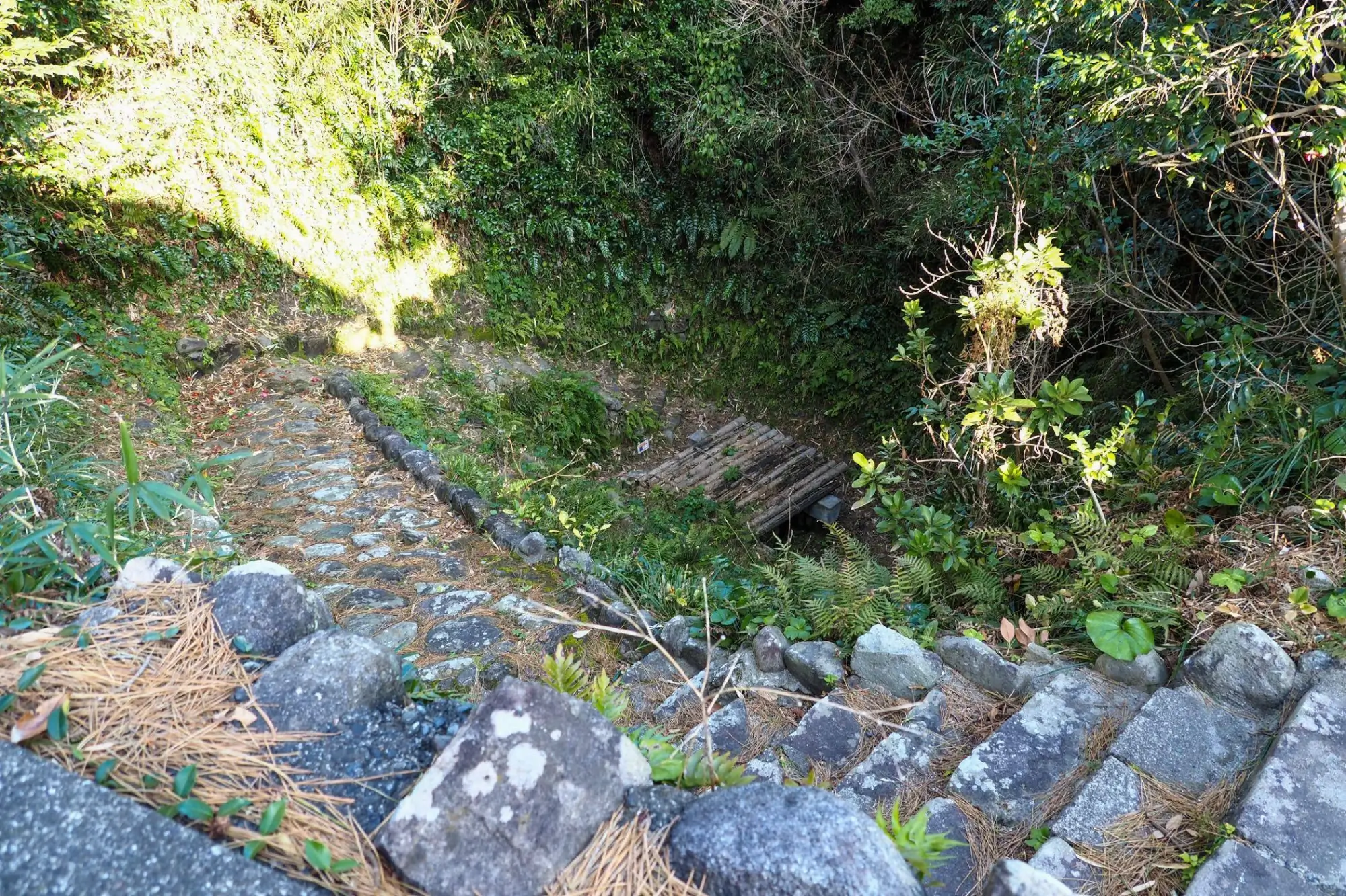 緑に覆われたくぼみの底の井戸に続く石の階段