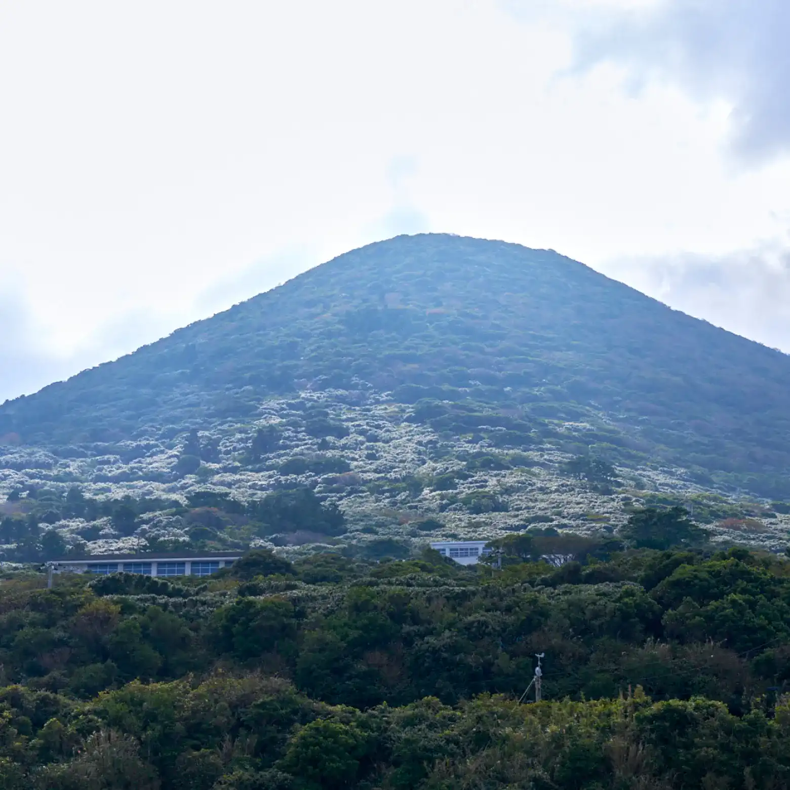 宮塚山の写真