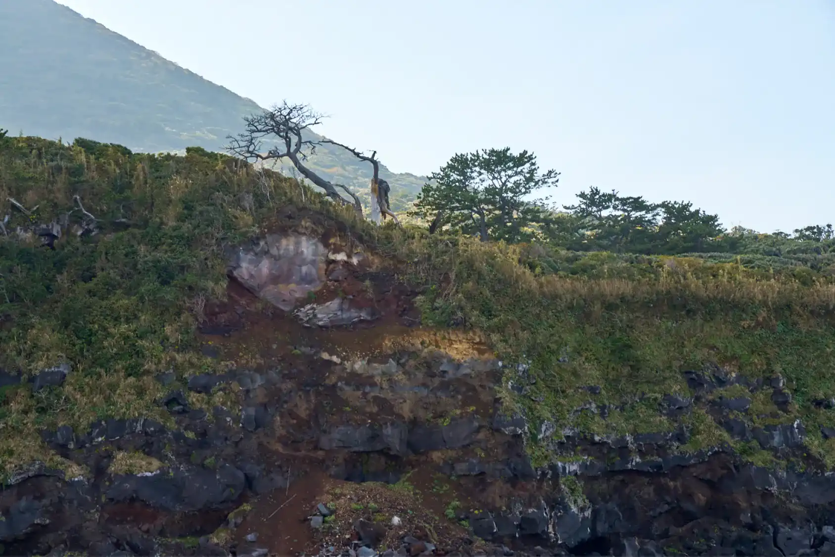 島の南側の断崖絶壁の光景
