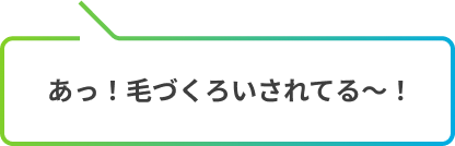 あっ！毛づくろいされてる〜！