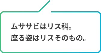 ムササビはリス科。座る姿はリスそのもの。