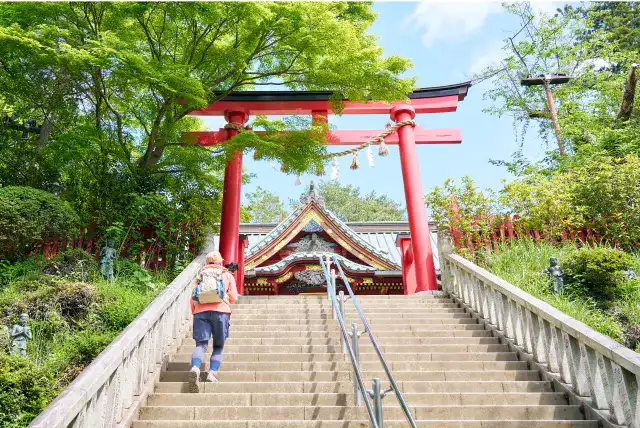 赤い鳥居に向かって階段を登るかほさん