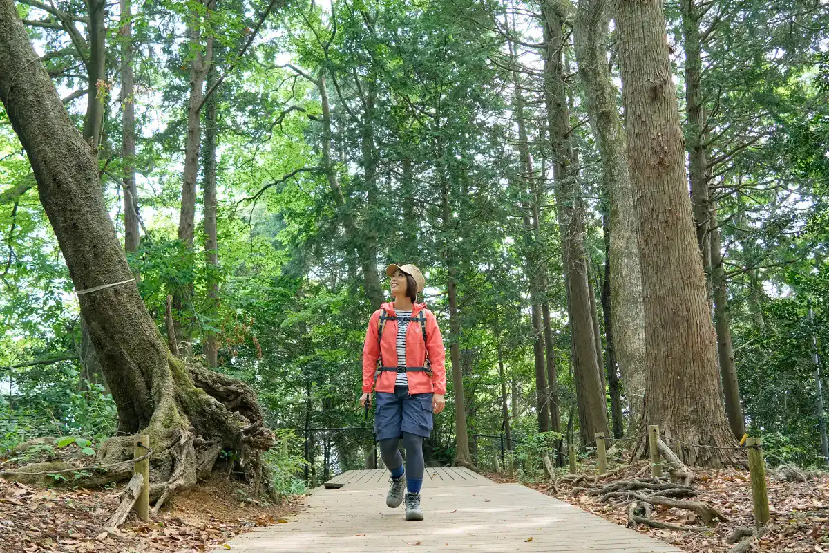 木々に囲まれた登山道を進むかほさん