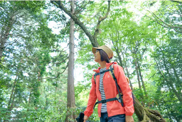 木々を見上げて新緑の芽に感動するかほさん