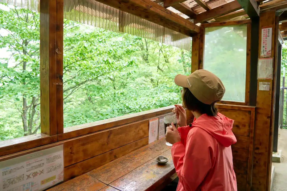 やまびこ茶屋の窓から新緑を眺めながらアイスコーヒーを飲むかほさん