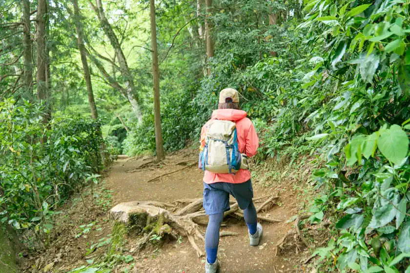 木の根が露わになった登山道を歩くかほさん