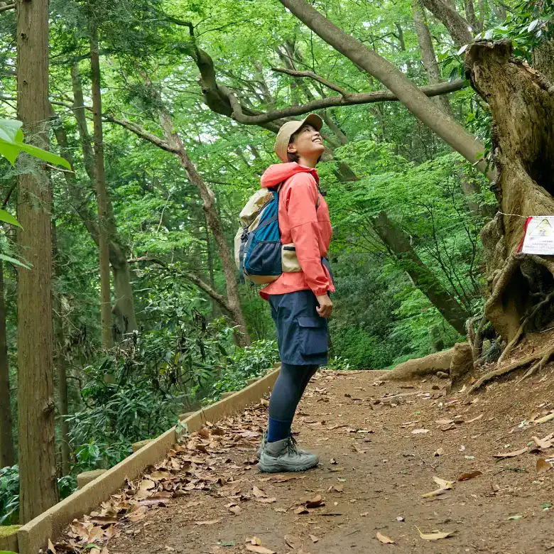 登山道で新緑を眺めるかほさん