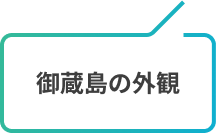 御蔵島の外観