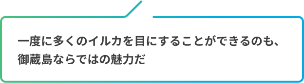 一度に多くのイルカを目にすることができるのも、御蔵島ならではの魅力だ