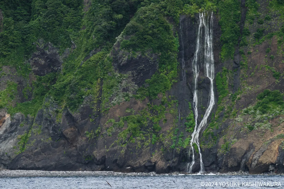 御蔵島の水の豊富さを物語る崖から流れ落ちる滝