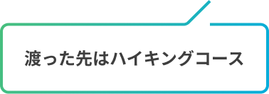 渡った先はハイキングコース