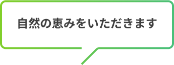 自然の恵みをいただきます