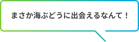 まさか海ぶどうに出会えるなんて！