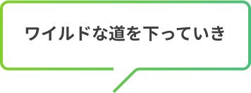 ワイルドな道を下っていき