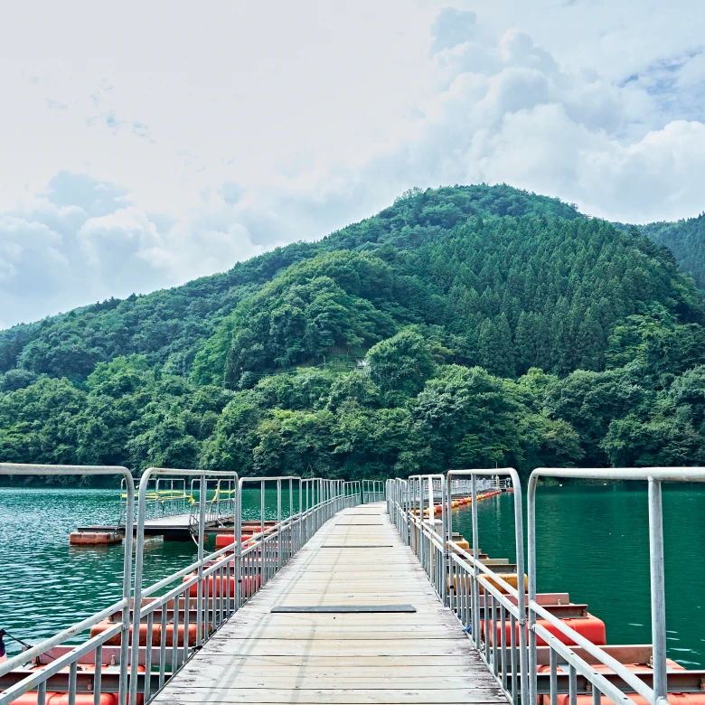 あたりを見渡せる麦山浮橋の中央からの景色