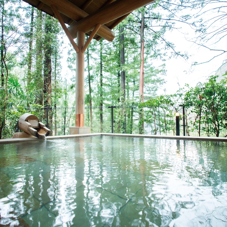 奥多摩温泉もえぎの湯