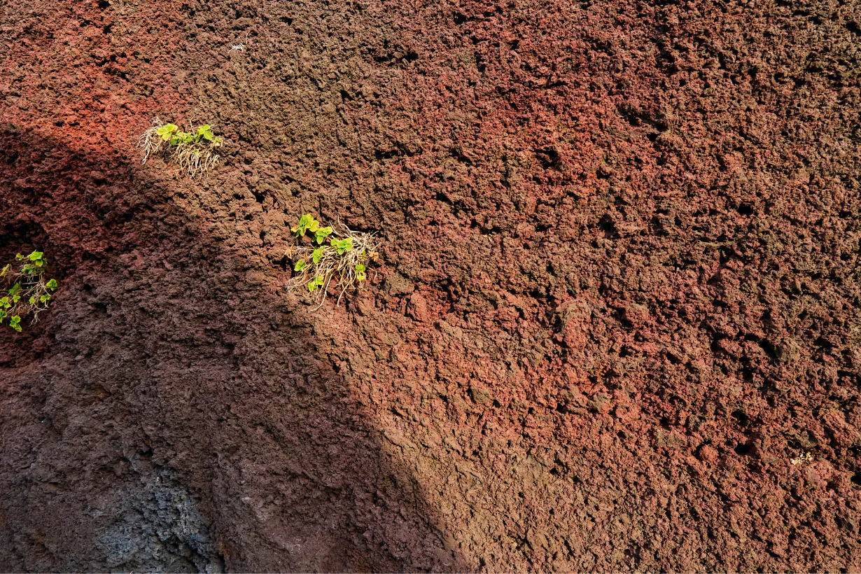 ポツポツ空いた穴は、マグマに溶け込んでいたガス成分の泡の跡