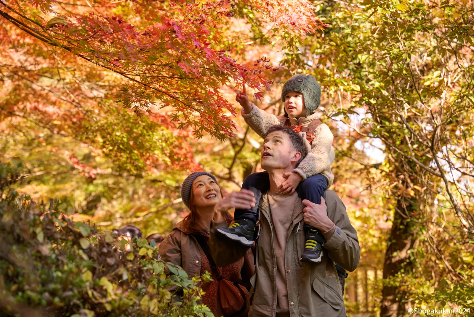 間近で見る絶景の紅葉。お父さんに肩車してもらい、紅葉に手を伸ばすルイ君