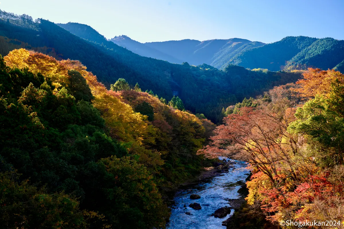 鵜の瀬橋からの御岳渓谷の眺め