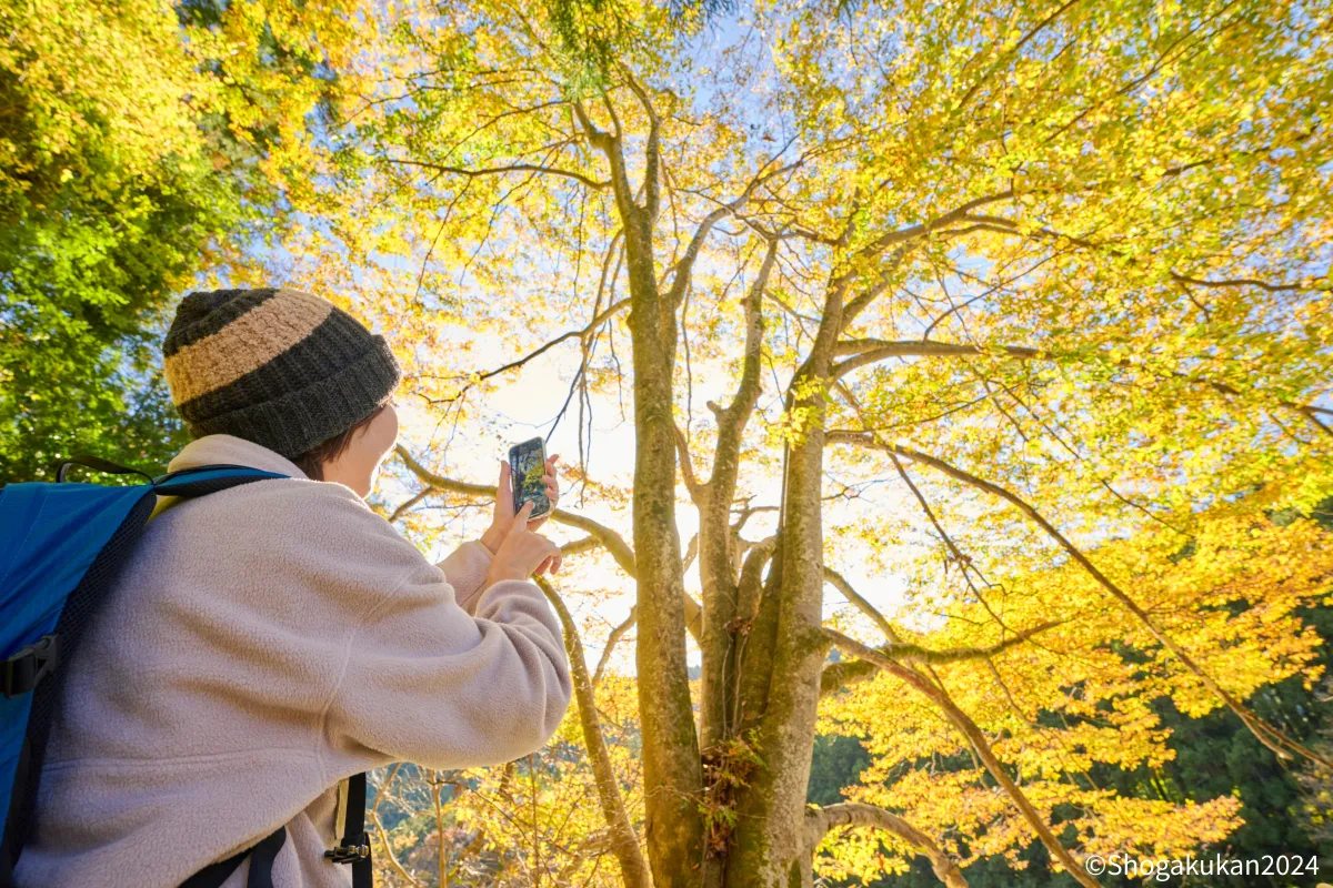 紅葉を写真に収めるヨッシー