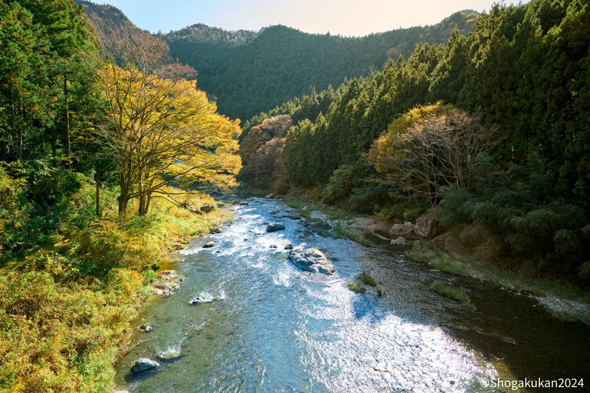 橋から見た多摩川の眺め