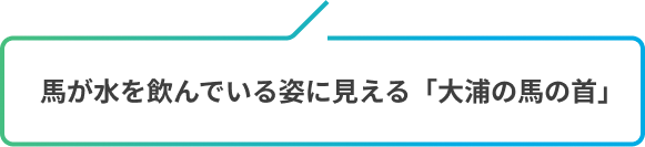 ⾺が⽔を飲んでいる姿に⾒える「⼤浦の⾺の⾸」