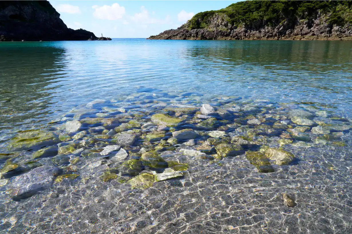 水の透明度に驚かされる泊海⽔浴場の波打ち際