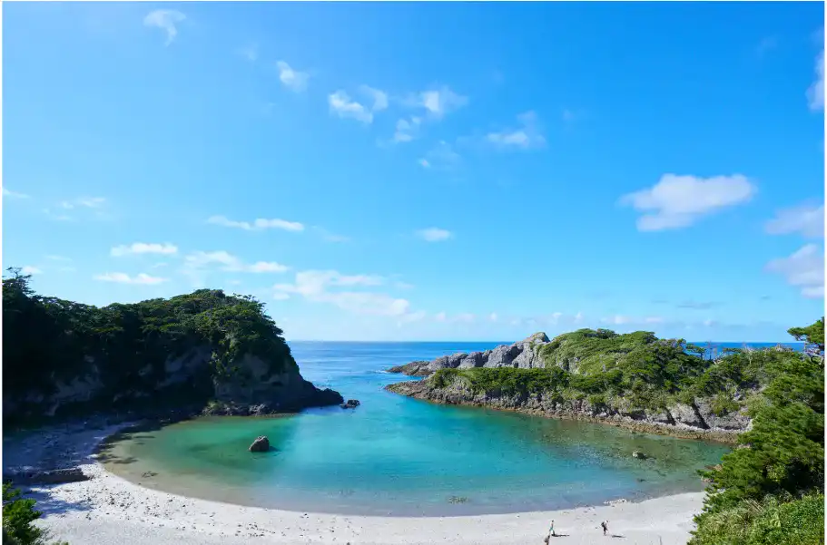 泊海⽔浴場