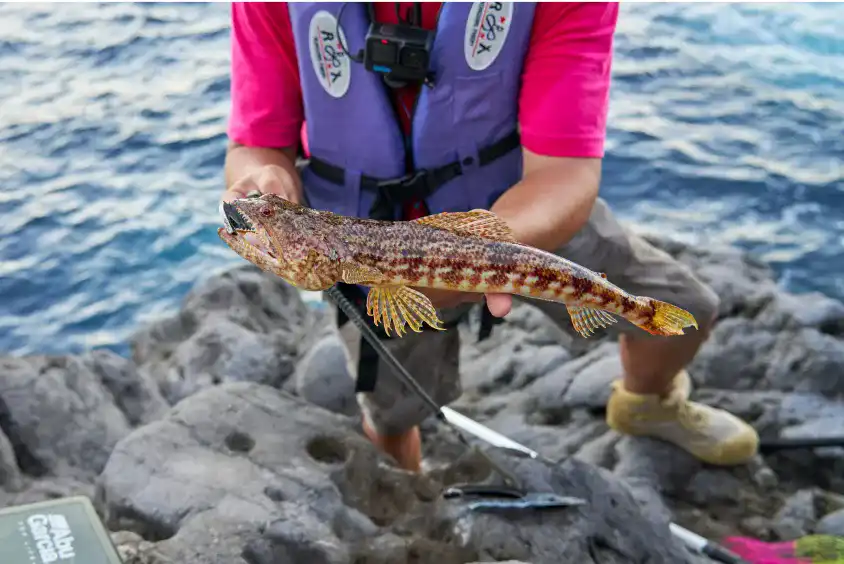 とくさんに「オニエソ」と命名してもらった魚