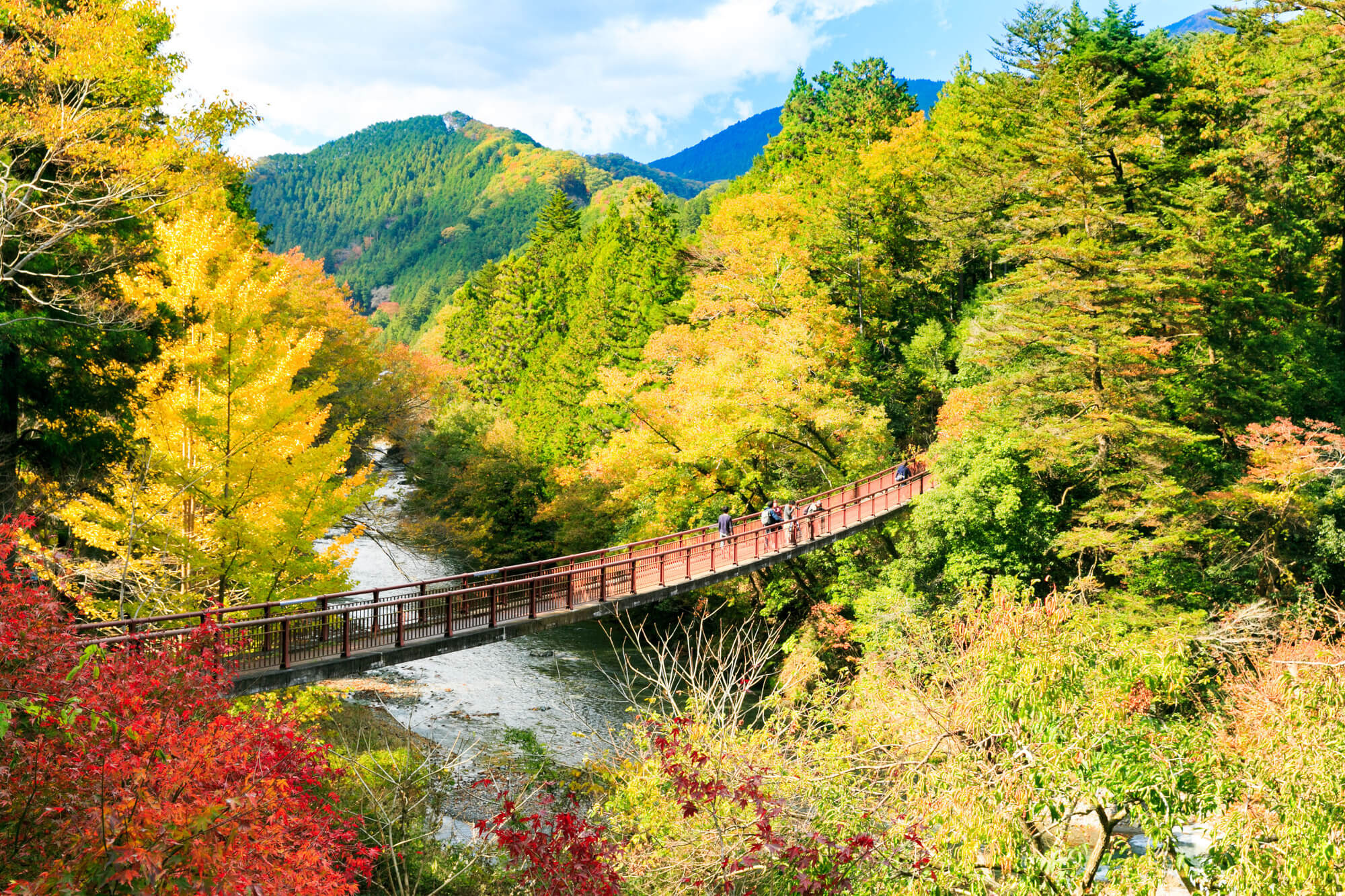 秋川渓谷の紅葉の風景