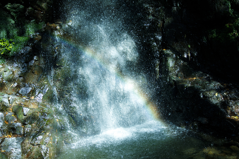 落差18mで水量も多く、関東でも知られた滝行スポットの〈龍神の滝〉。