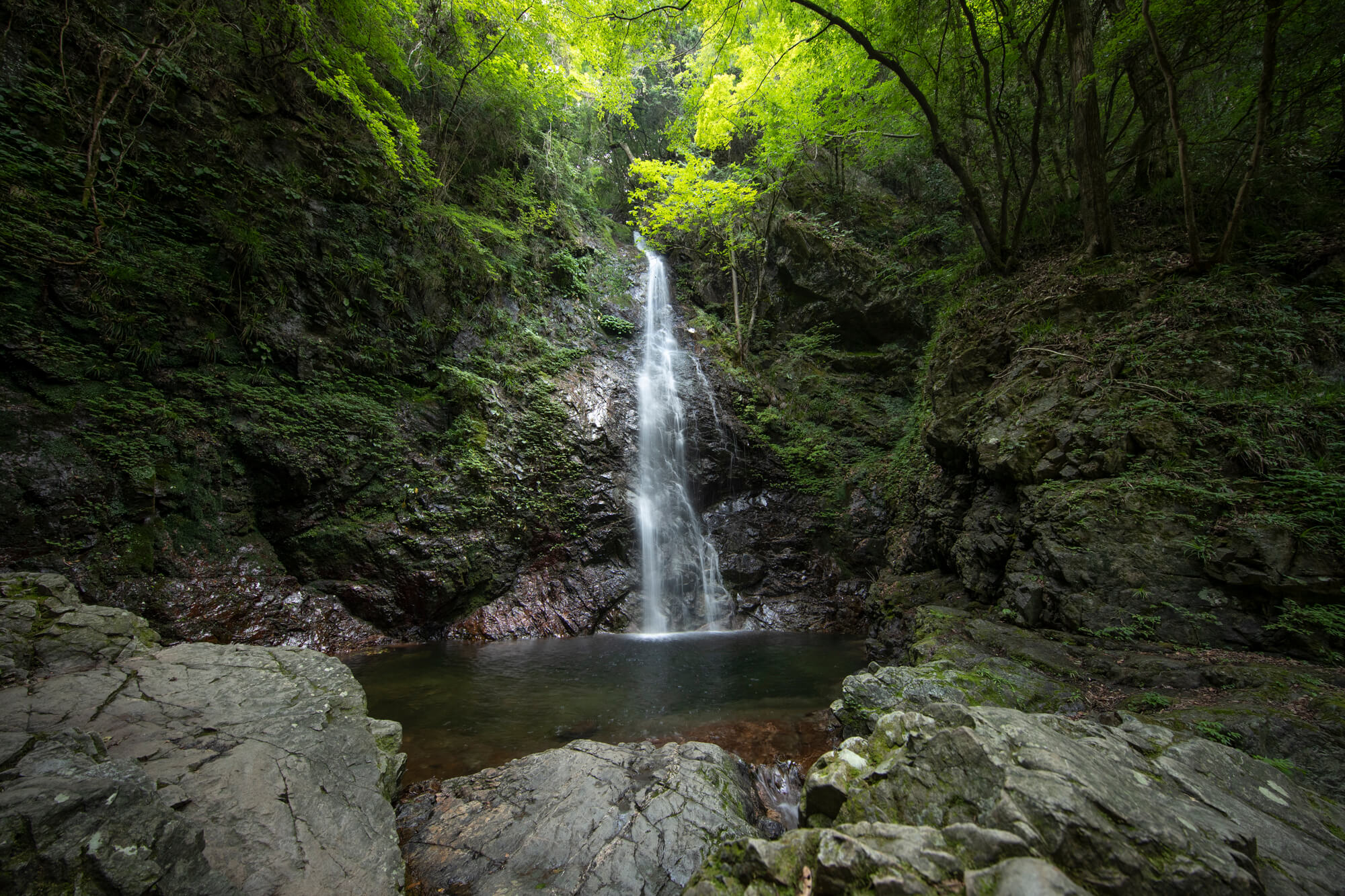 日本の滝百選に選ばれている「払沢の滝」の風景
